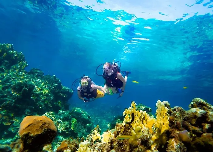 Sandals All Inclusive - Couples Only (adults Only) Montego Bay